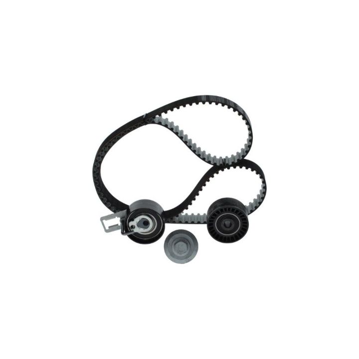 Triger Seti (139X254) Peugeot Citroen Ford 1.4 HDI TDCI (EURO5 Motor) İçin - BOSCH 1987946584