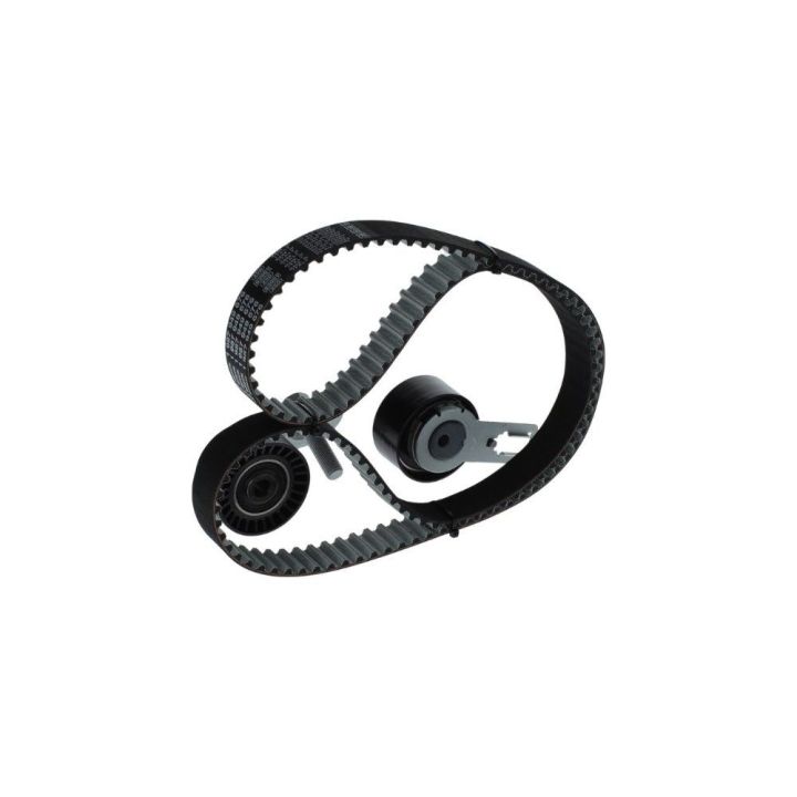 Triger Seti (139X254) Peugeot Citroen Ford 1.4 HDI TDCI (EURO5 Motor) İçin - BOSCH 1987946584