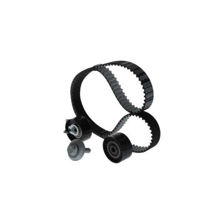 Triger Seti (139X254) Peugeot Citroen Ford 1.4 HDI TDCI (EURO5 Motor) İçin - BOSCH 1987946584