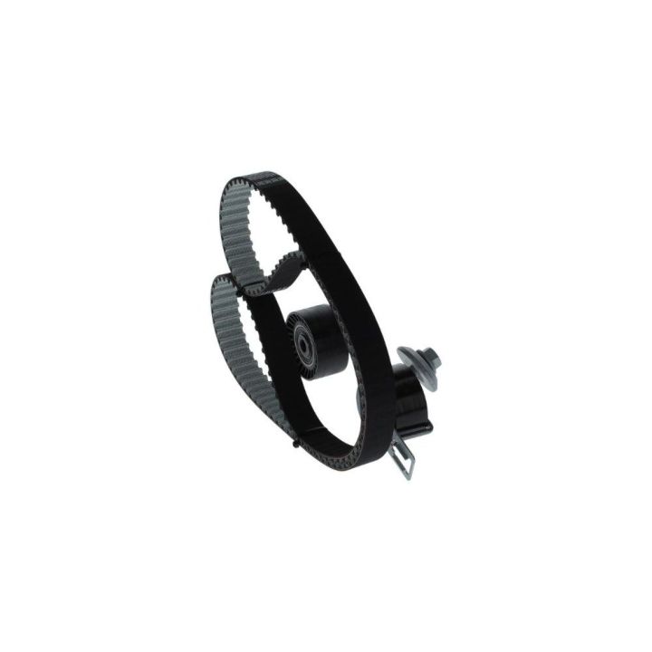 Triger Seti (139X254) Peugeot Citroen Ford 1.4 HDI TDCI (EURO5 Motor) İçin - BOSCH 1987946584