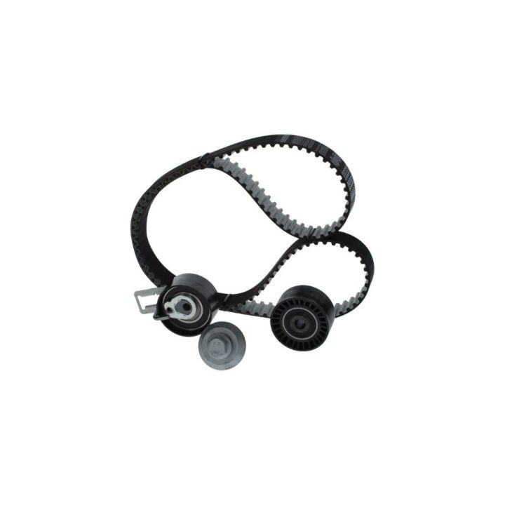 Triger Seti (139X254) Peugeot Citroen Ford 1.4 HDI TDCI (EURO5 Motor) İçin - BOSCH 1987946584