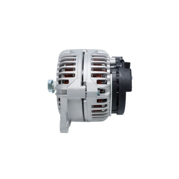 Alternatör Citroen Fiat Iveco Peugeot Boxer Daily Ducato Jumper Massif İçin - BOSCH 1986A00875