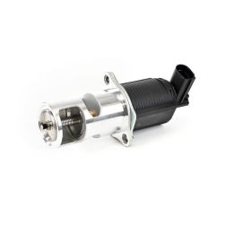 EGR Valfi Renault Avantime Espace Laguna Master Trafic Opel Vivaro (2000-) - Delphi EG10405-12B1
