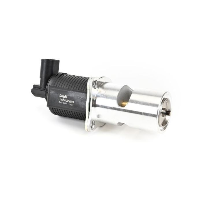 EGR Valfi Renault Avantime Espace Laguna Master Trafic Opel Vivaro (2000-) - Delphi EG10405-12B1