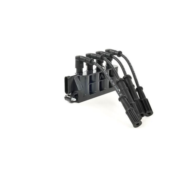 Ateşleme Bobini Alfa Romeo Fiat Ford Lancia Grubu - Delphi GN10492-12B1