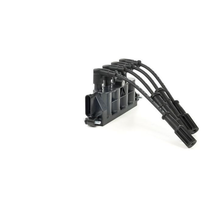 Ateşleme Bobini Alfa Romeo Fiat Ford Lancia Grubu - Delphi GN10492-12B1