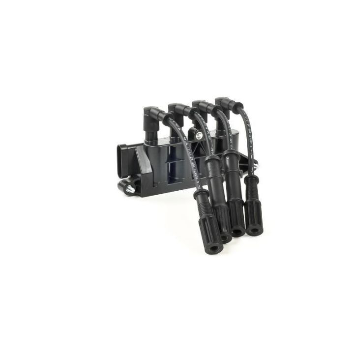 Ateşleme Bobini Alfa Romeo Fiat Ford Lancia Grubu - Delphi GN10492-12B1