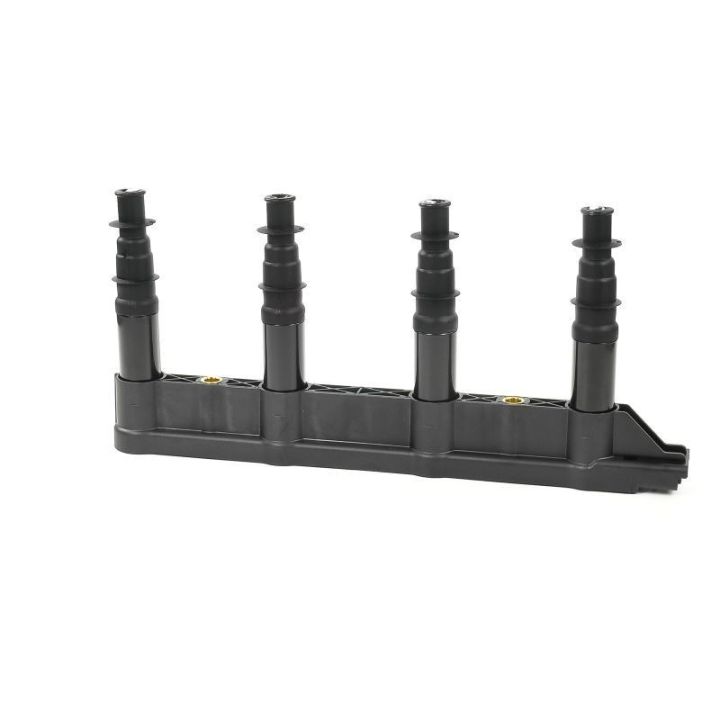 Ateşleme Bobini Citroen C2C3C4 1.4 16V Peugeot P206 P207 P307 1007 1.4 16V ET3J4- GN10239-12B1 Delphi