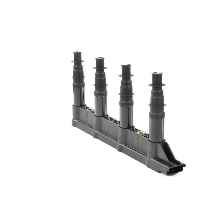 Ateşleme Bobini Citroen C2C3C4 1.4 16V Peugeot P206 P207 P307 1007 1.4 16V ET3J4- GN10239-12B1 Delphi