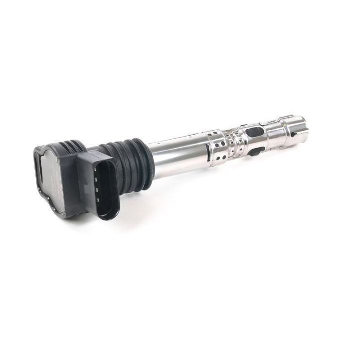 Ateşleme Bobini Audi Seat Skoda - GN10236-12B1 Delphi