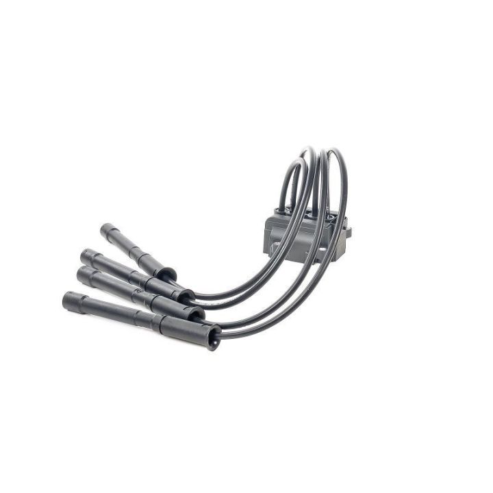 Ateşleme Bobini Clio 1.2 16V - CE20018-12B1 Delphi