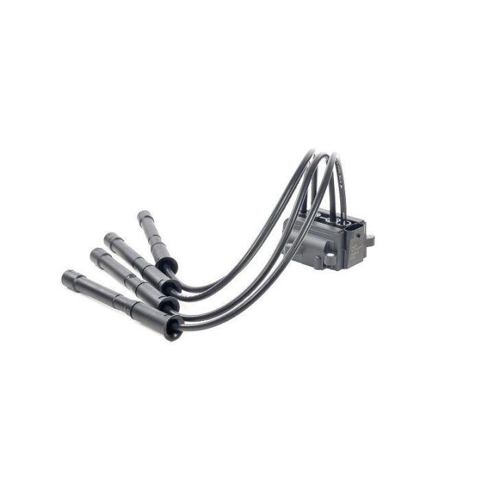 Ateşleme Bobini Clio 1.2 16V - CE20018-12B1 Delphi