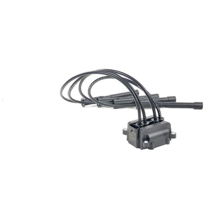 Ateşleme Bobini Clio 1.2 16V - CE20018-12B1 Delphi