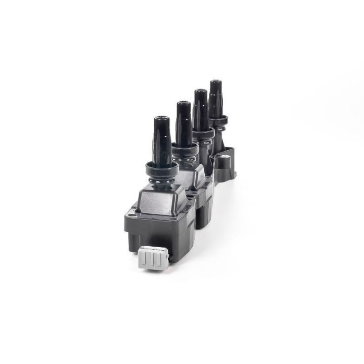 Ateşleme Bobini PSA Berlingo C2 - C3 - C4 - Xsara - 206 - 307 - 308 - Partner - GN10319-12B1 Delphi