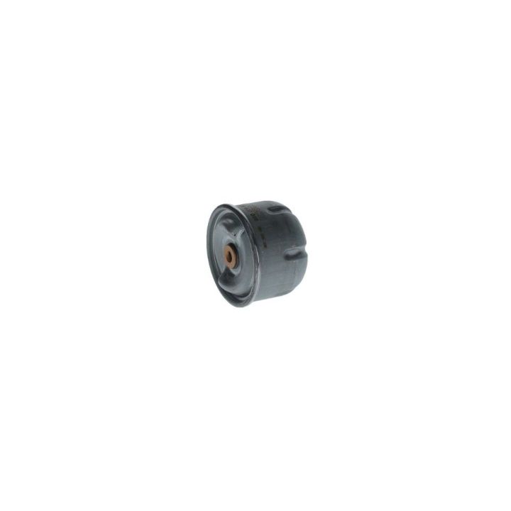 Yağ Filtresi Ford Transit Defender İçin (2.4 TDCI / 2.5 TD5) (90PS-130PS) - Bosch F026407099