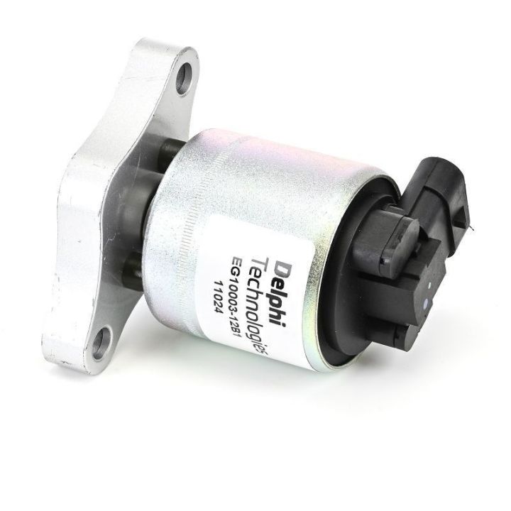 Egr Valfi - Opel Astra F, Astra G, Combo, Meriva A, Tigra, Vectra B, Vectra C, Zafira A (1991-2008) - DELPHİ EG10003-12B1