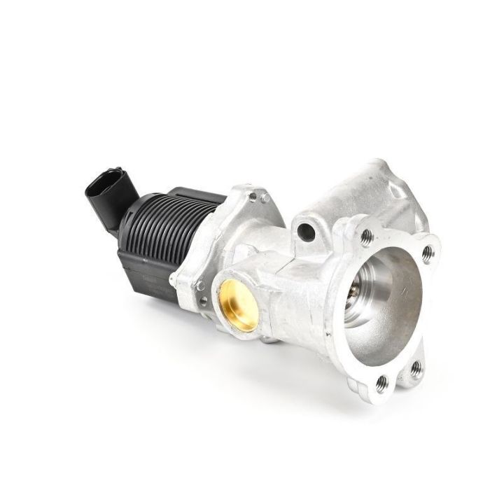 Egr Valfi - Opel Astra, Corsa, Fiat Grande Punto, Idea Strada, Lancia Musa Ypsilon, Alfa Romeo Mito (2003+) - DELPHİ EG10258-12B