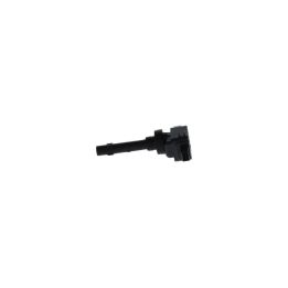 Ateşleme Bobini Chery Tiggo 1.6 (2010-) - Bosch F01R00A041