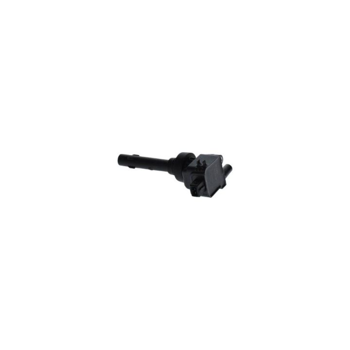 Ateşleme Bobini Chery Tiggo 1.6 (2010-) - Bosch F01R00A041