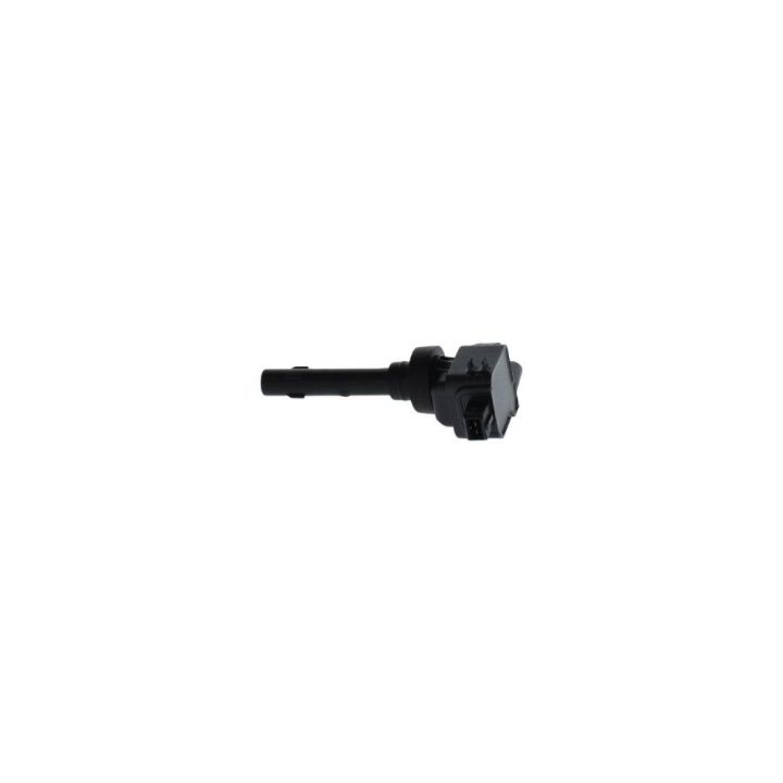 Ateşleme Bobini Chery Tiggo 1.6 (2010-) - Bosch F01R00A041