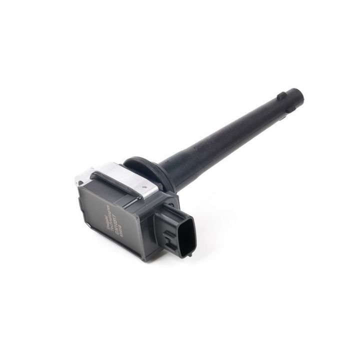 Ateşleme Bobini Nissan Qashqai Micra X-Trail (2005-2013) - Delphi GN10317-12B1