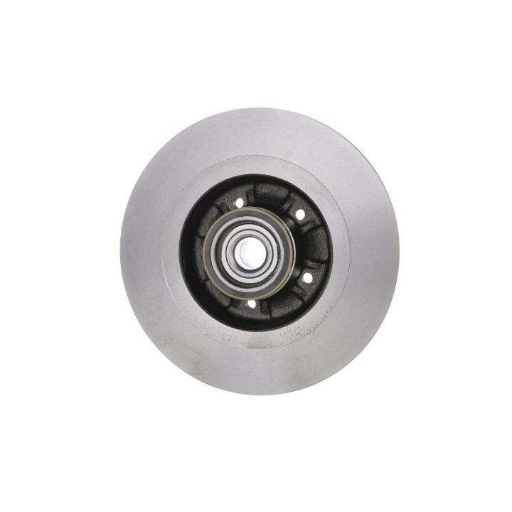 Arka Fren Diski Renault Laguna II Scenic II İçin (2001-2009) - Bosch 0986479273