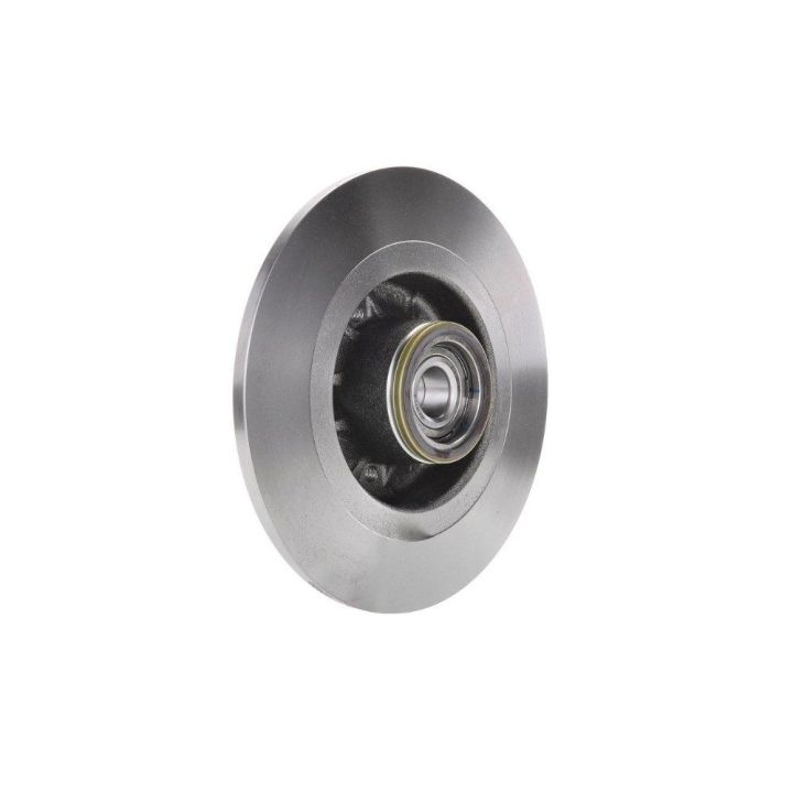 Arka Fren Diski Renault Laguna II Scenic II İçin (2001-2009) - Bosch 0986479273