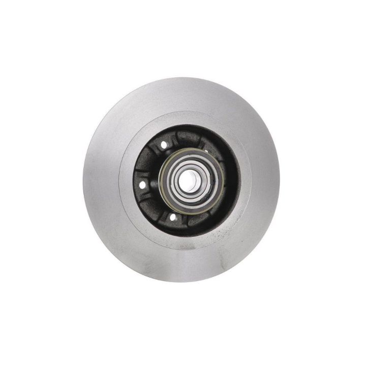 Arka Fren Diski Renault Laguna II Scenic II İçin (2001-2009) - Bosch 0986479273