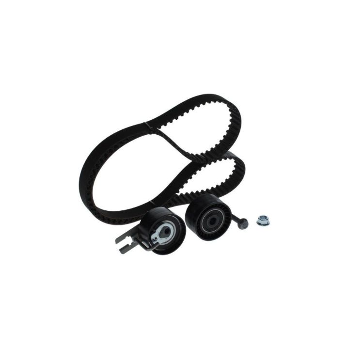 Triger Seti 137 Diş 25mm Citroen Peugeot Ford HDI TDCI DV6 Motor İçin - Bosch 1987948206