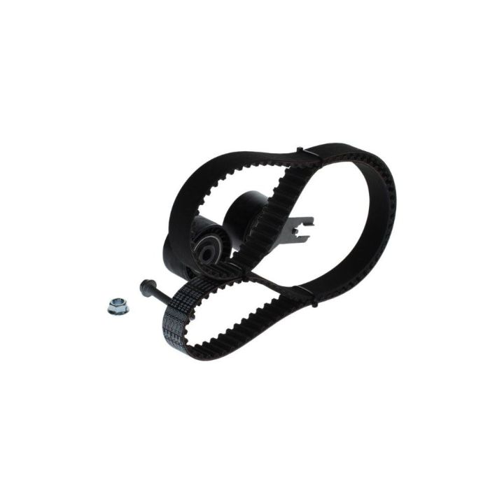 Triger Seti 137 Diş 25mm Citroen Peugeot Ford HDI TDCI DV6 Motor İçin - Bosch 1987948206