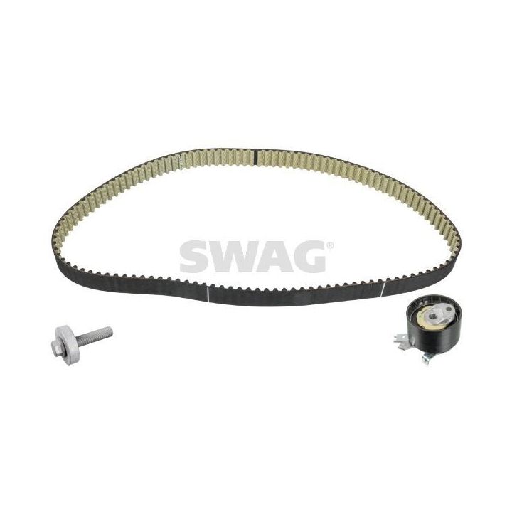 Eksantrik Gergi Kiti Clio II Kangoo Megane II Espace Scenic II İçin (2001-) - SWAG SW60100520