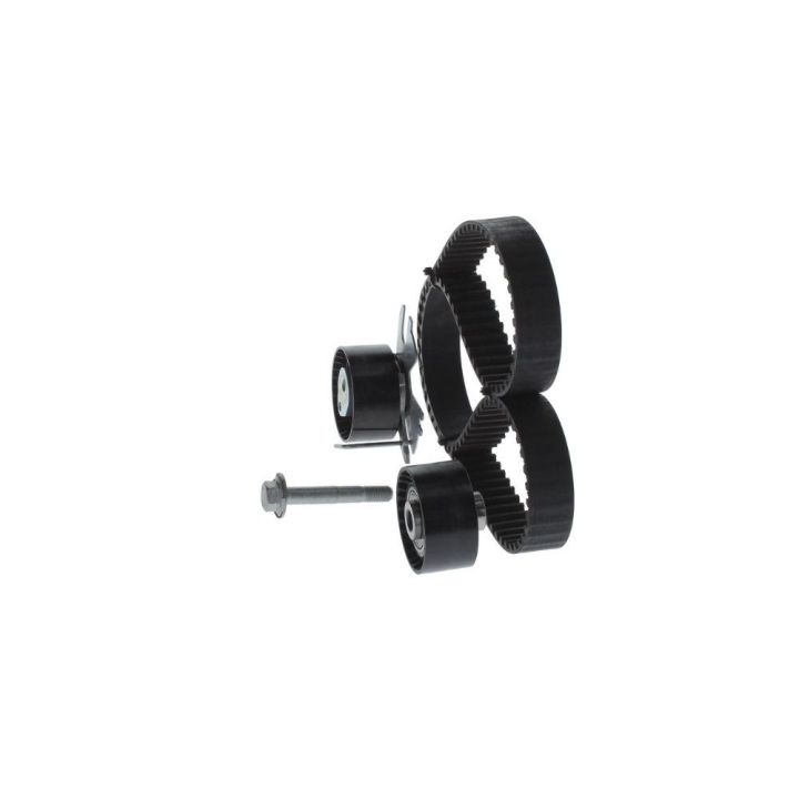 Triger Eksantrik Gergi Seti Peugeot Citroen Fiat Scudo Ford Focus C-Max 2.0 İçin - BOSCH 1987948208