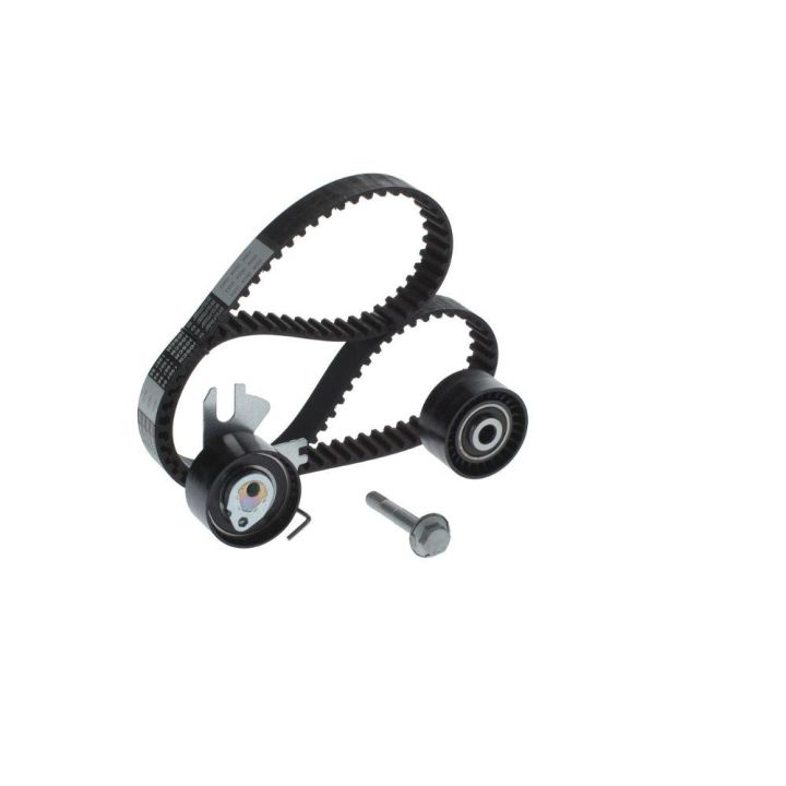 Triger Eksantrik Gergi Seti Peugeot Citroen Fiat Scudo Ford Focus C-Max 2.0 İçin - BOSCH 1987948208