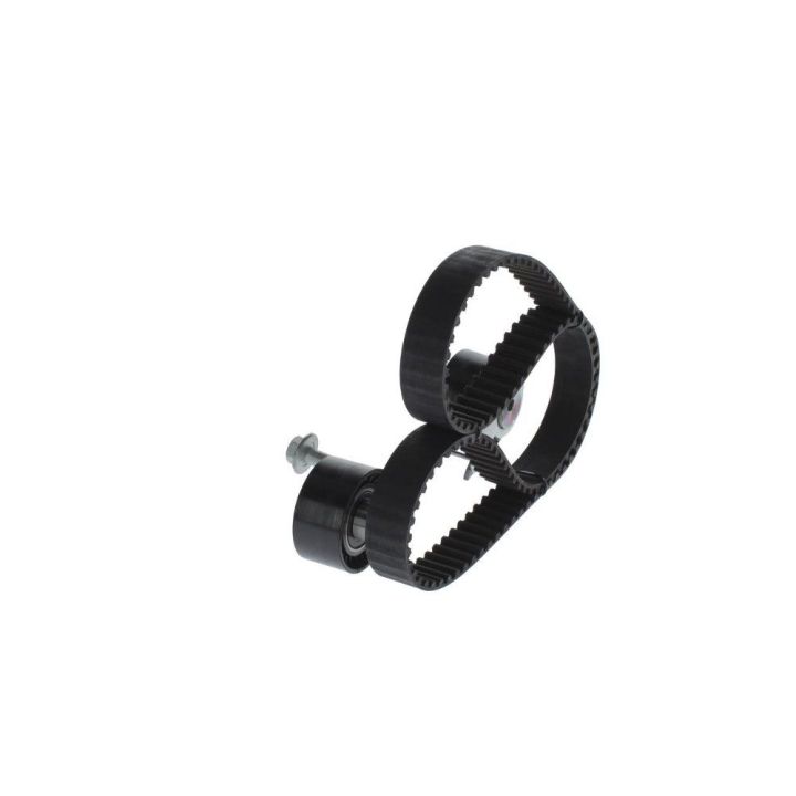 Triger Eksantrik Gergi Seti Peugeot Citroen Fiat Scudo Ford Focus C-Max 2.0 İçin - BOSCH 1987948208