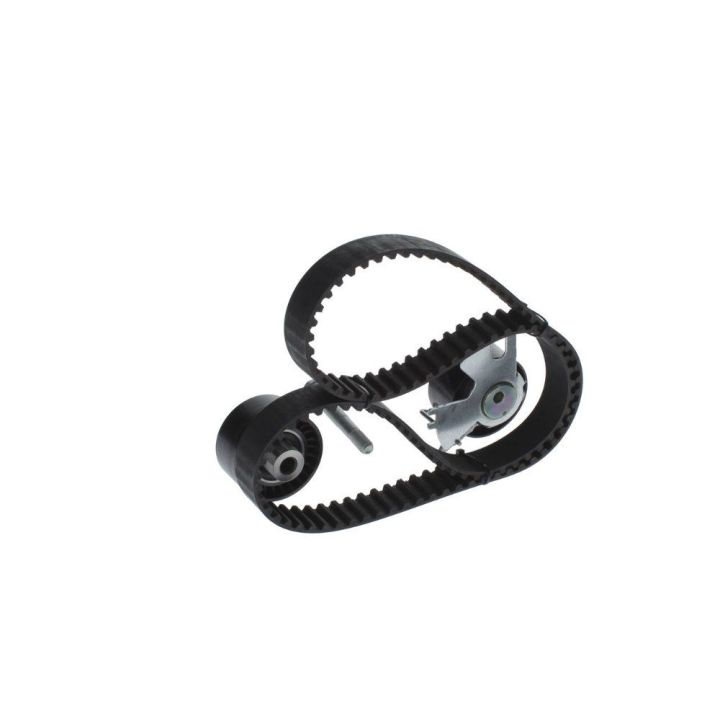 Triger Eksantrik Gergi Seti Peugeot Citroen Fiat Scudo Ford Focus C-Max 2.0 İçin - BOSCH 1987948208