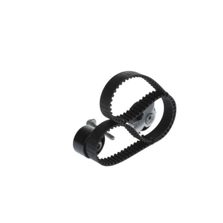 Triger Eksantrik Gergi Seti Peugeot Citroen Fiat Scudo Ford Focus C-Max 2.0 İçin - BOSCH 1987948208
