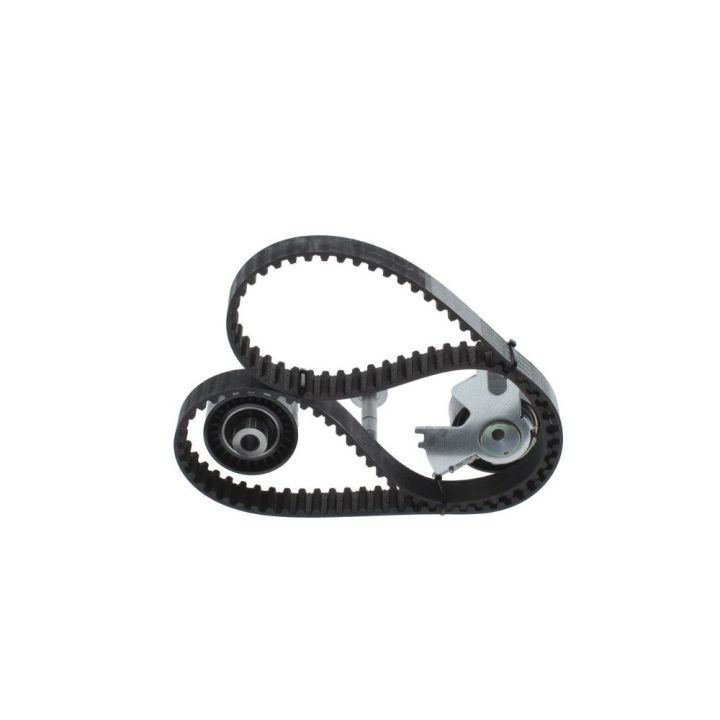 Triger Eksantrik Gergi Seti Peugeot Citroen Fiat Scudo Ford Focus C-Max 2.0 İçin - BOSCH 1987948208
