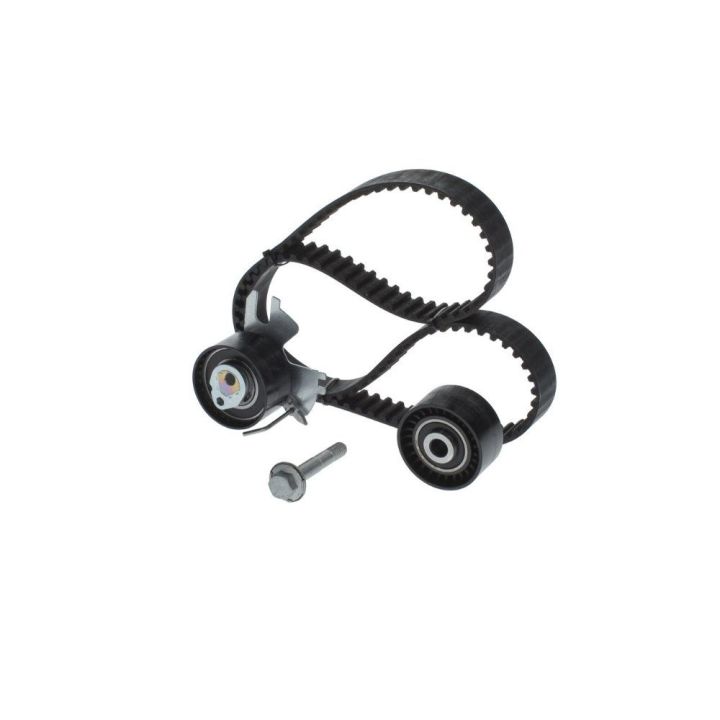 Triger Eksantrik Gergi Seti Peugeot Citroen Fiat Scudo Ford Focus C-Max 2.0 İçin - BOSCH 1987948208